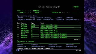 IBMi AS400 why we use Elem in RPGLE [upl. by Esiom]