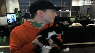 deadmau5  Meowingtons Gets Down [upl. by Enaerb]