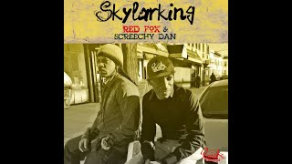 SKYLARKING RAGGAE RIDDIM INSTRUMENTAL [upl. by Golden]