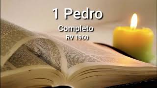 2 JUAN Completo Biblia Hablada ReinaValera 1960 [upl. by Resarf]