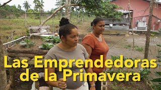 01Acción en Comunidad Las Emprendedoras de la Primavera UCRVAS 2018 [upl. by Elatnahs]