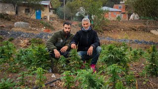 Viví con un PRODUCTOR de HACHÍS en Marruecos [upl. by Eugene]