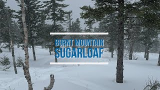 Burnt Mountain  Powder on Sugarloafs Androscoggin Glade [upl. by Mcmahon620]