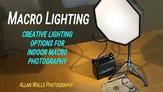 Macro Lighting  creative options for indoor macro photography [upl. by Dearborn303]