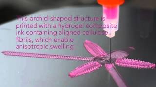 4D Printing Shapeshifting Architecture [upl. by Airdnassac]