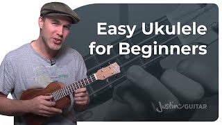 How to Play the Ukulele 4 Easy Chords amp Many Songs [upl. by Dorina]