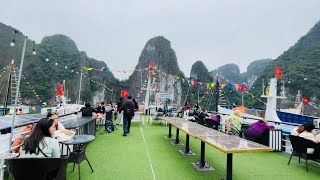 One Day Halong Bay Tour Experience halongbay vietnam travel cruise [upl. by Nicolle]