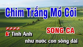 Karaoke Chim Trắng Mồ Côi Song Ca Nhạc Sống  Hoàng Luân [upl. by Reeva]