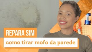 Como remover mofo da parede Confira 5 dicas caseiras com Paloma Cipriano  CASA DE VERDADE [upl. by Dorrej]