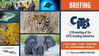 Briefing on the 77th meeting of the CITES Standing Committee [upl. by Chaves]