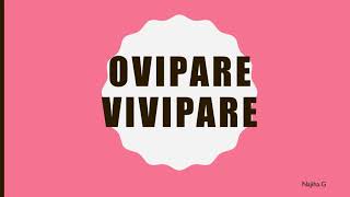 Ovipare vivipare [upl. by Vaughn]