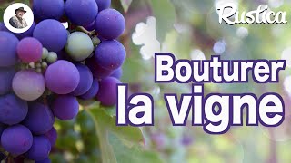 Bouturer la vigne [upl. by Leimad]