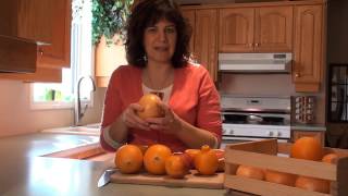 Learn about Common Orange Varieties [upl. by Himelman]