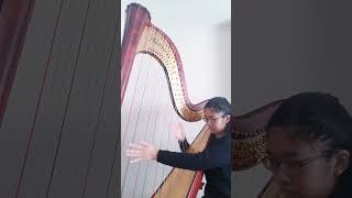 B Smetana Vyšehrad Harp Cadenza [upl. by Aranaj]