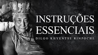 Dilgo Khyentse Rinpoche  Instruções Essenciais [upl. by Hussein62]