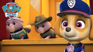 Misja ratunkowa pieski ratują królewskie kocięta  Psi Patrol PAW Patrol po polsku [upl. by Urian]