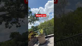 Miami zoo marvel shortvideo travel shortvideo shortvideo spiderman deadpool ryanreynolds [upl. by Yrnehnhoj]