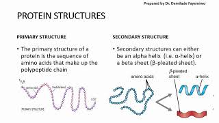 Chapter 23 Biological Molecules  Proteins [upl. by Neimad187]