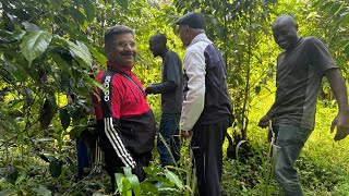 केन्या में काफ़ी उत्पादक किसान परिवार africa africanfood coffee trending masai youtube kenya [upl. by Anasus278]