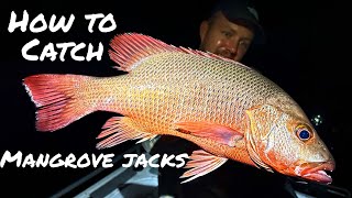 How to catch Mangrove Jacks [upl. by Hett852]