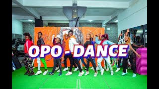 OPO  DANCE VIDEO 2Baba ft WizkidDmk Captures [upl. by Nilo60]