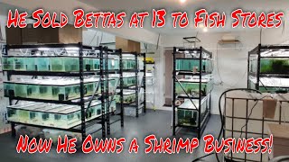 Quit a Chemical Engineering Career to Sell Shrimp Meet the Owner of Shrimpy Business [upl. by Ydnat]