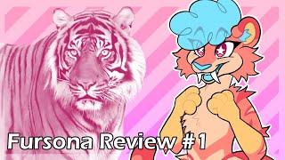 Fursona Review 1 Tigers [upl. by Netsuj]