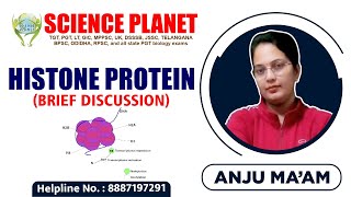 Histone Protein Brief Discussion Explain by Anju Mam of Science Planet [upl. by Allehcim809]