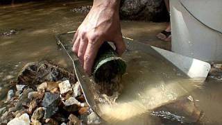 Gold panning [upl. by Leidag]