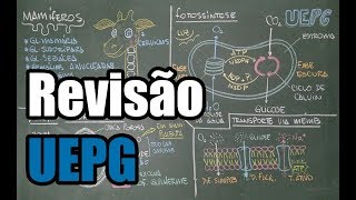 Revisão UEPG  Vestibular de Verão 2017 [upl. by Jennica669]