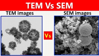 SEM Vs TEM [upl. by Ahsitnauq]