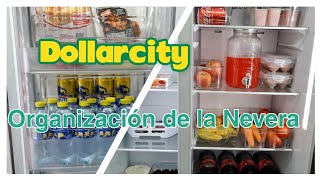 Organización de la nevera  Como organizar el refrigerador cajas organizadoras dollarcity [upl. by Adnohsed]