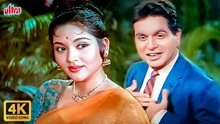 Tere Husn Ki Kya Tareef Karoon 4K  Rafi  Lata Romantic Song  Dilip Kumar  Vyjayantimala  Leader [upl. by Ayirp]