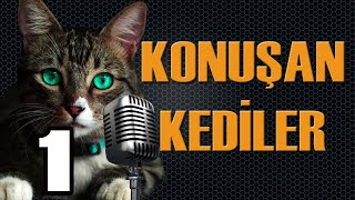 Konuşan Kediler 1  En Komik Kedi Videoları [upl. by Aham236]