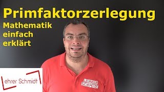 Primfaktorzerlegung  Bruchrechnung  Mathematik  einfach erklärt  Lehrerschmidt [upl. by Celinda]