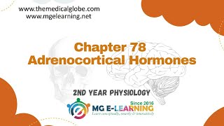 Adrenocortical Hormones Chapter 78 Endocrinology and Reproduction Physiology [upl. by Melburn]