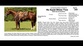 Pitzer Ranch Fall Sale 2024 RX EYED SHINE TWO [upl. by Coralyn]