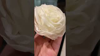 Easy Flower Candle from Only Beeswax and a Wick [upl. by Haonam]