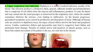 part 1 Gram positive Rods Lect 7 B 341 [upl. by Ilona607]