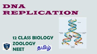 DNA Replication in Tamil  Molecular Genetics  Zoology  Class 12 TNSCERT  NEET [upl. by Portwine]