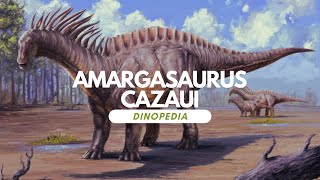 Dinopedia  Amargasaurus cazaui [upl. by Ronnica]