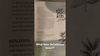 Belladonna 🌿🍵 [upl. by Light]