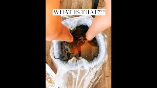 How the detox foot bath works and why we love it [upl. by Eldwon882]