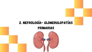 2 Glomerulopatías primarias  Nefrología [upl. by Aivin454]