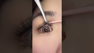 Eyelashes Makeup Hacks Beauty Tips eyelashes [upl. by Ordnael671]