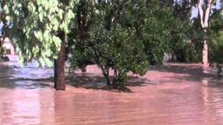 QUEENSLAND FLOODS Dalby Flood 100111 [upl. by Rohclem676]