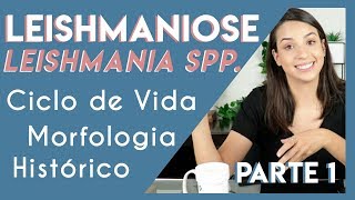 Leishmaniose Leishmania spp  DICAS PARA SUA PROVA PRÁTICA  Parte 1  PARASITOLOGIA 5 [upl. by Odraner946]