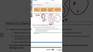 MEB in yayınladığı 2yazılıya hazırlık 10Sınıf Biyoloji örnek soru çözümleri Senaryo1 soruları [upl. by Aronoel]