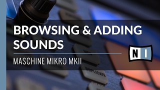 Browsing amp Adding Sounds  Maschine Mikro MkII [upl. by Oulman]