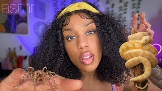 ASMR  🕷 Spiders Crawling Up Your Back Snakes Slithering Down 🐍 [upl. by Divadnoj]